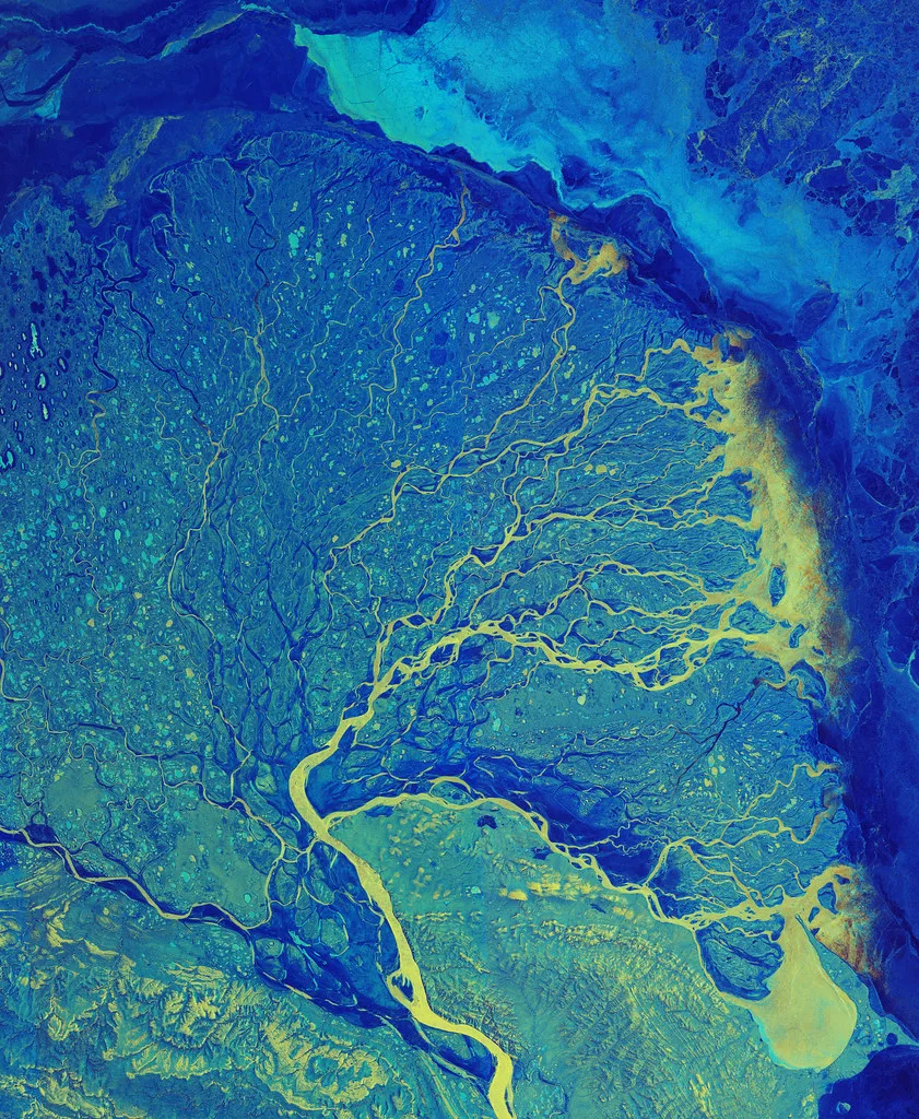 Lena River plains