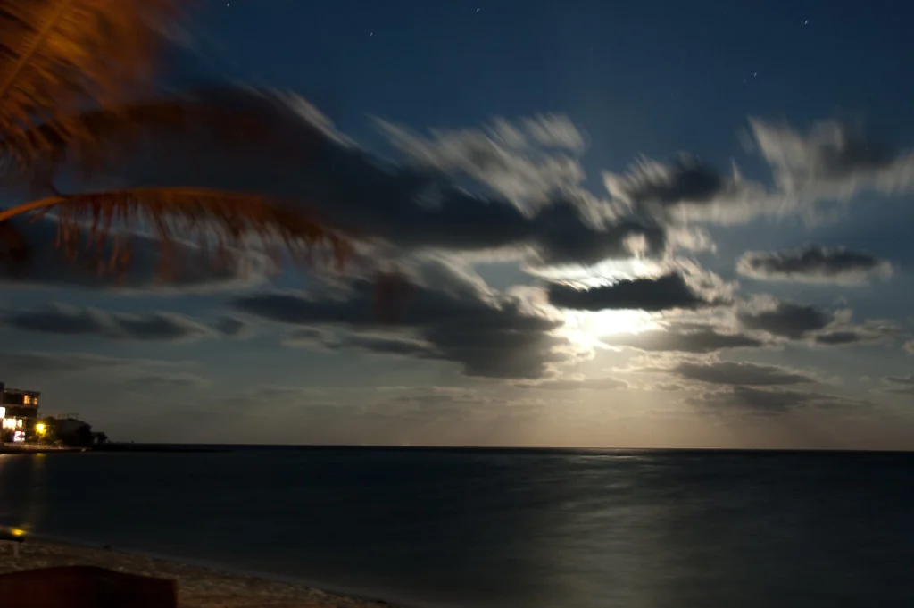 MoonRay