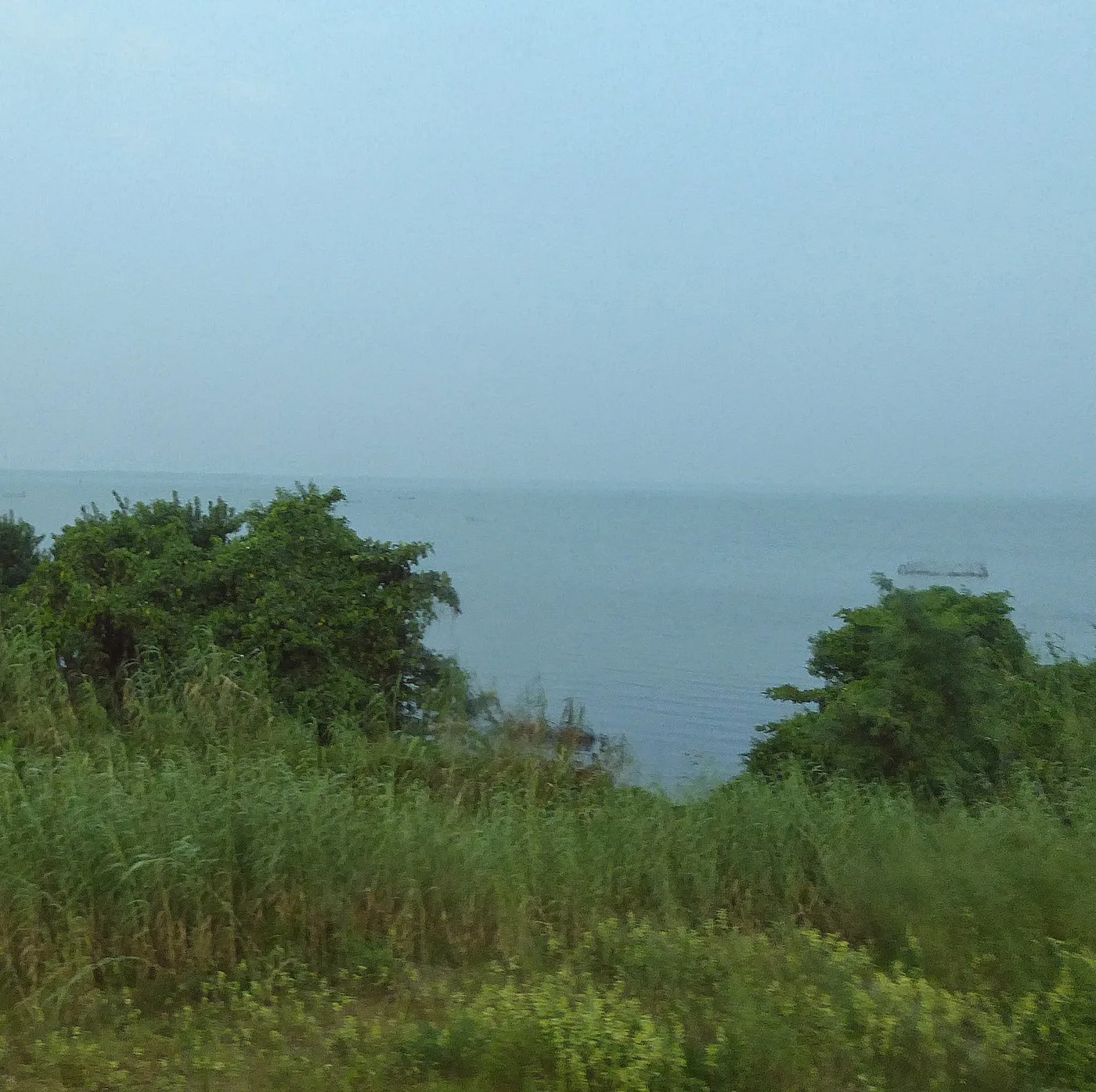 Muthurajawela Marsh