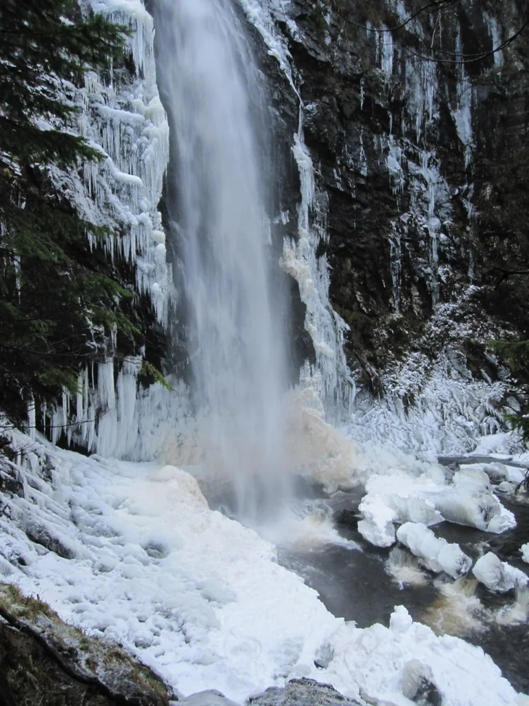 Plodda Falls