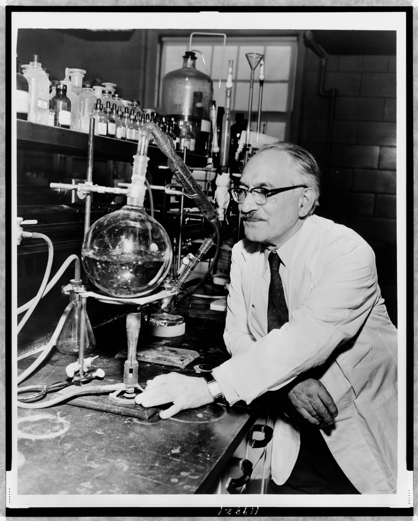 Selman Waksman