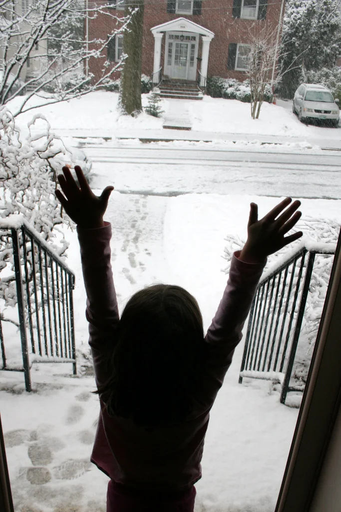 Snowmageddon