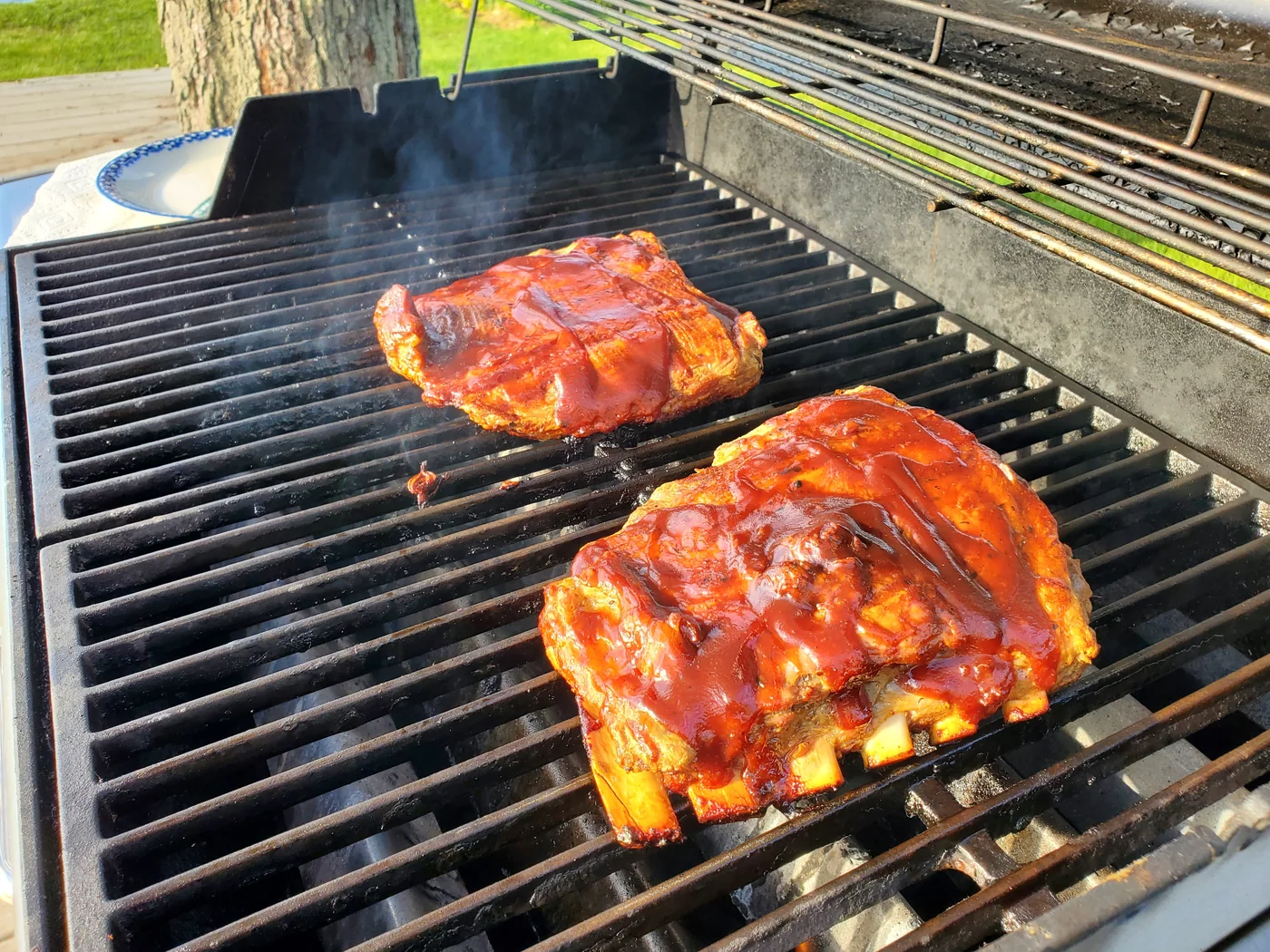 Weber Genesis Gas Grill