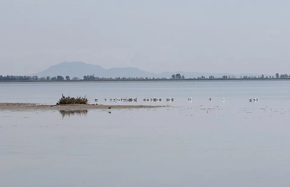Akyatan Lagoon
