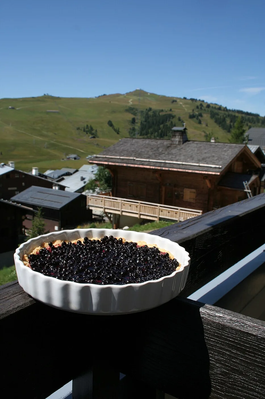 Blueberry Pie