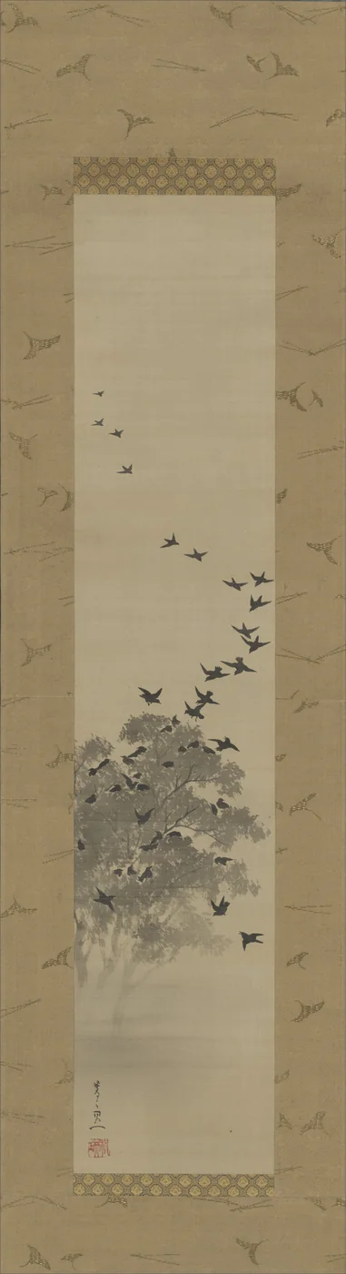 Black Bird