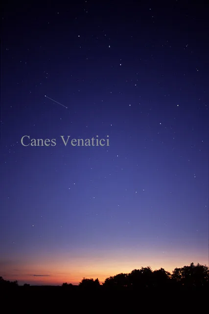 Canes Venatici