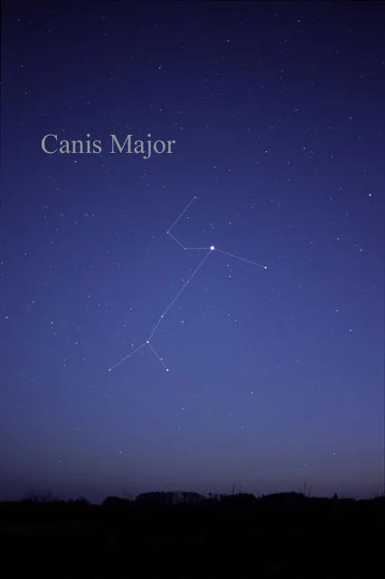 Canis Major