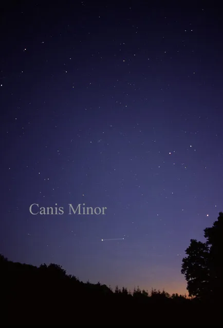 Canis Minor