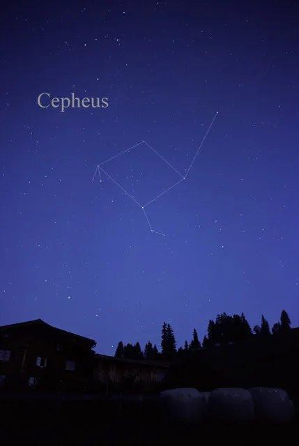 Cepheus