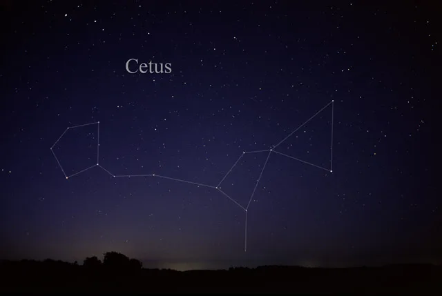 Cetus