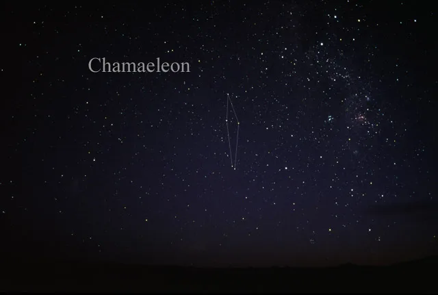 Chamaeleon
