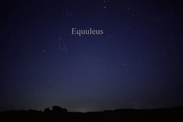 Equuleus