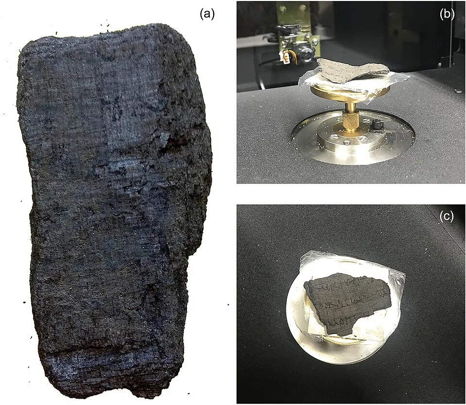 Herculaneum Papyri