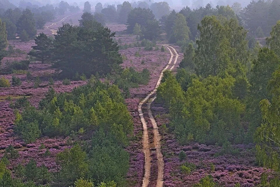 Kyritz-Ruppiner Heide