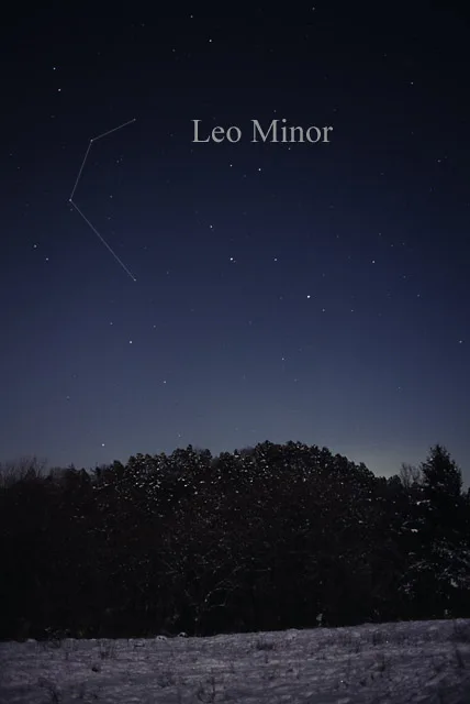 Leo Minor