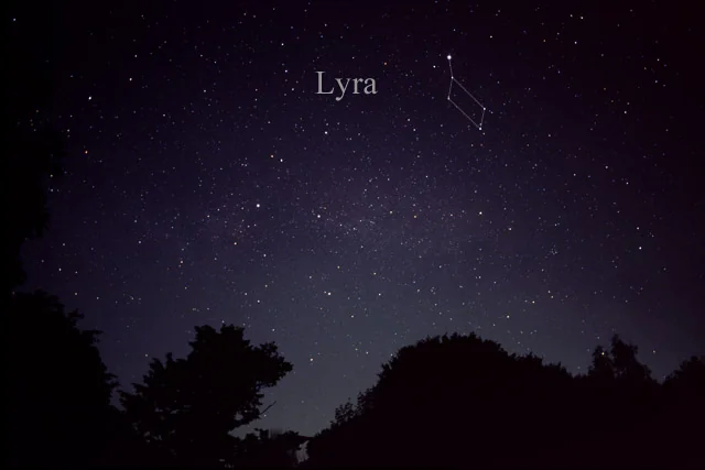 Lyra