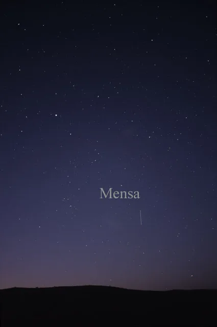 Mensa