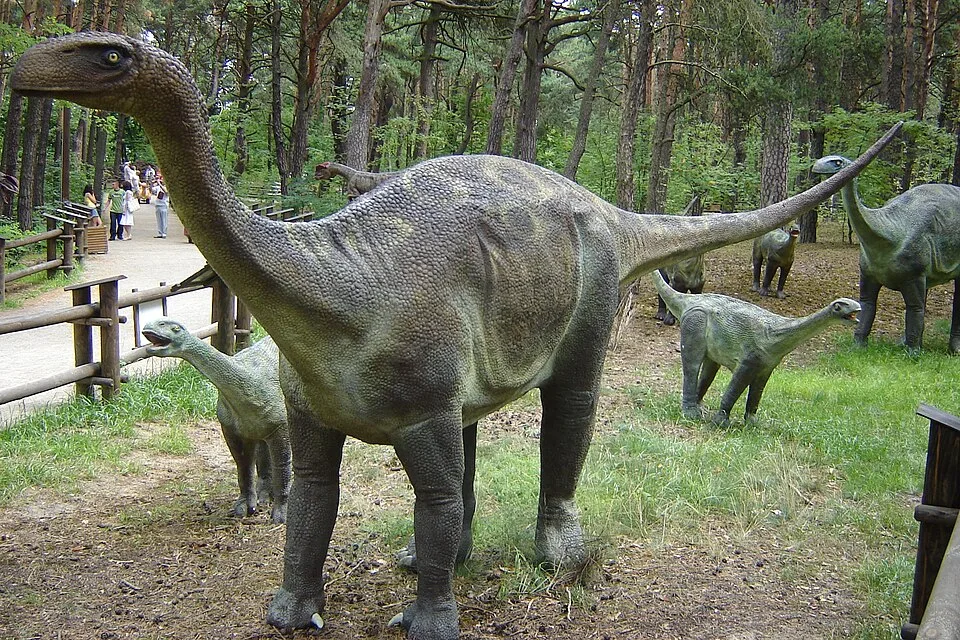 Vulcanodon karibaensis