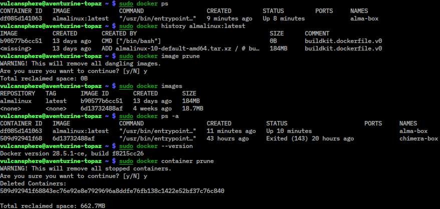 Amazon Elastic Container Service (ECS)