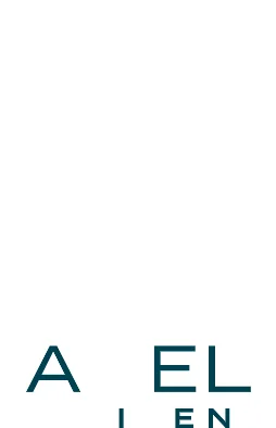 Abel Prize Medal