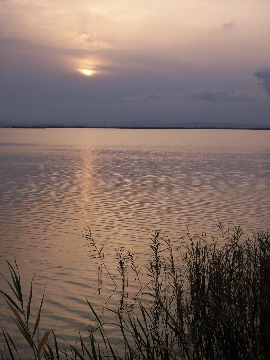 Albufera de Valencia
