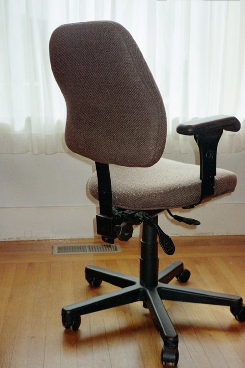 Branch Ergonomic Chair