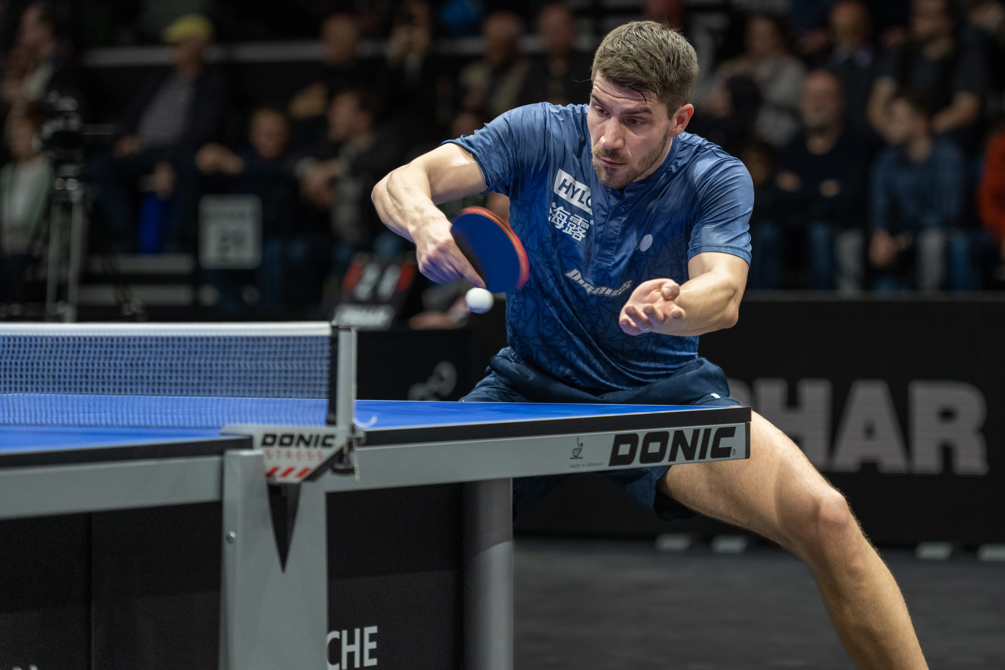 Butterfly Tenergy 05