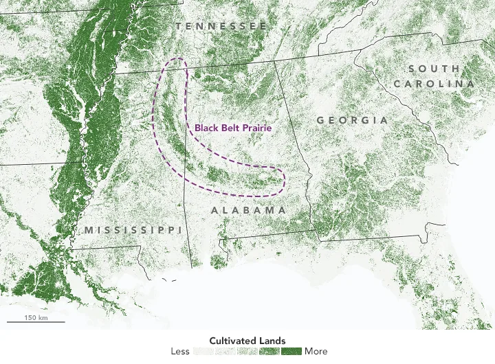 Black Belt Prairie