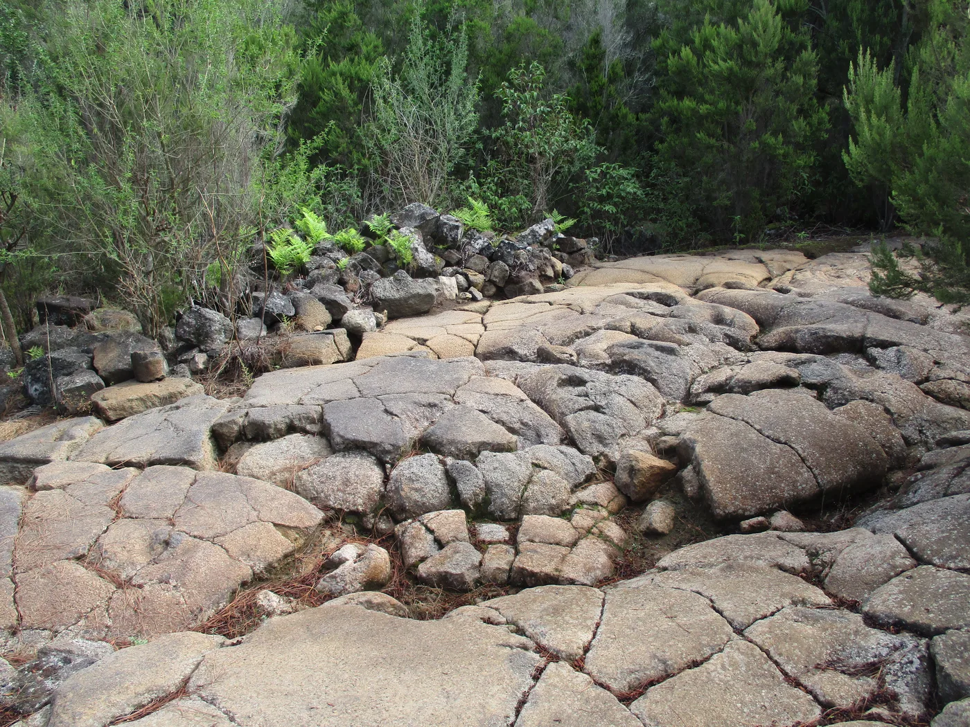 Cueva del Vino