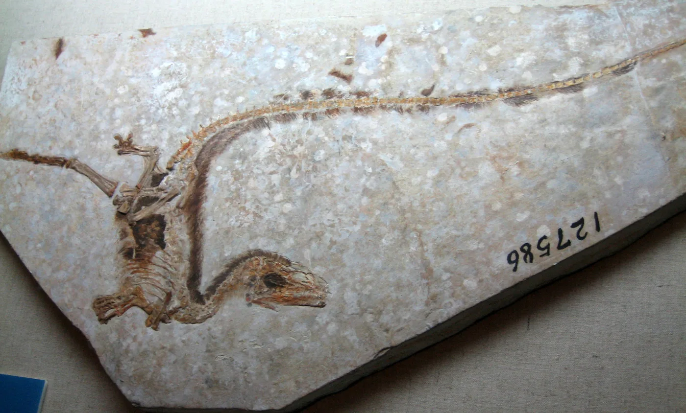 Dinosaur