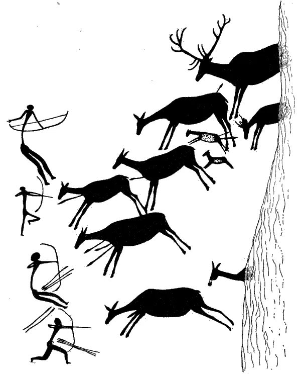 Deer Hunting USA