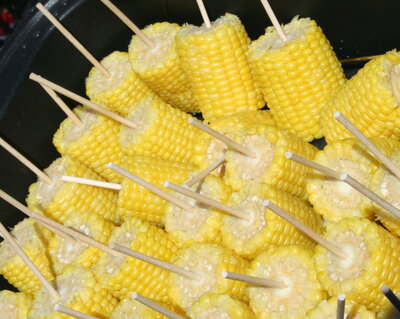 Elotes