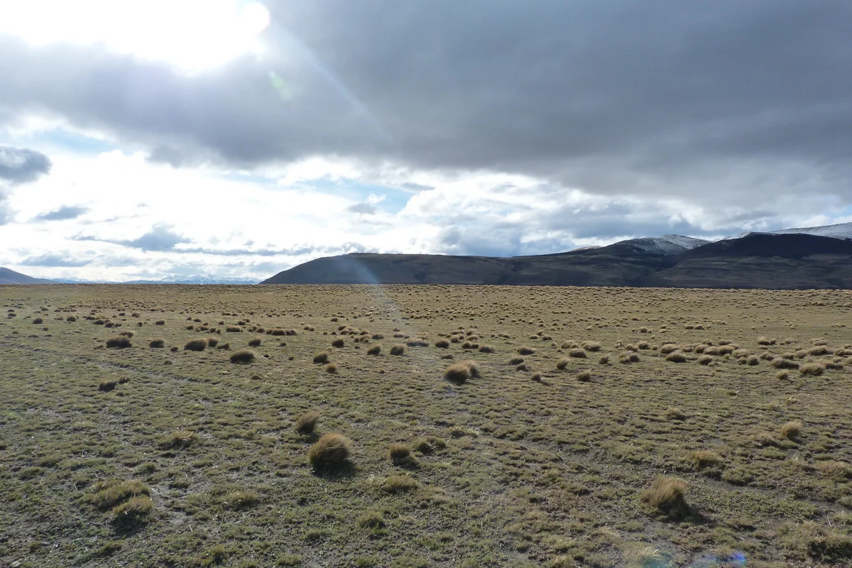 Patagonian Grasslands