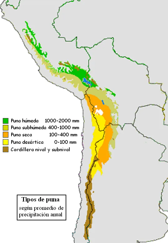 Peruvian Puna