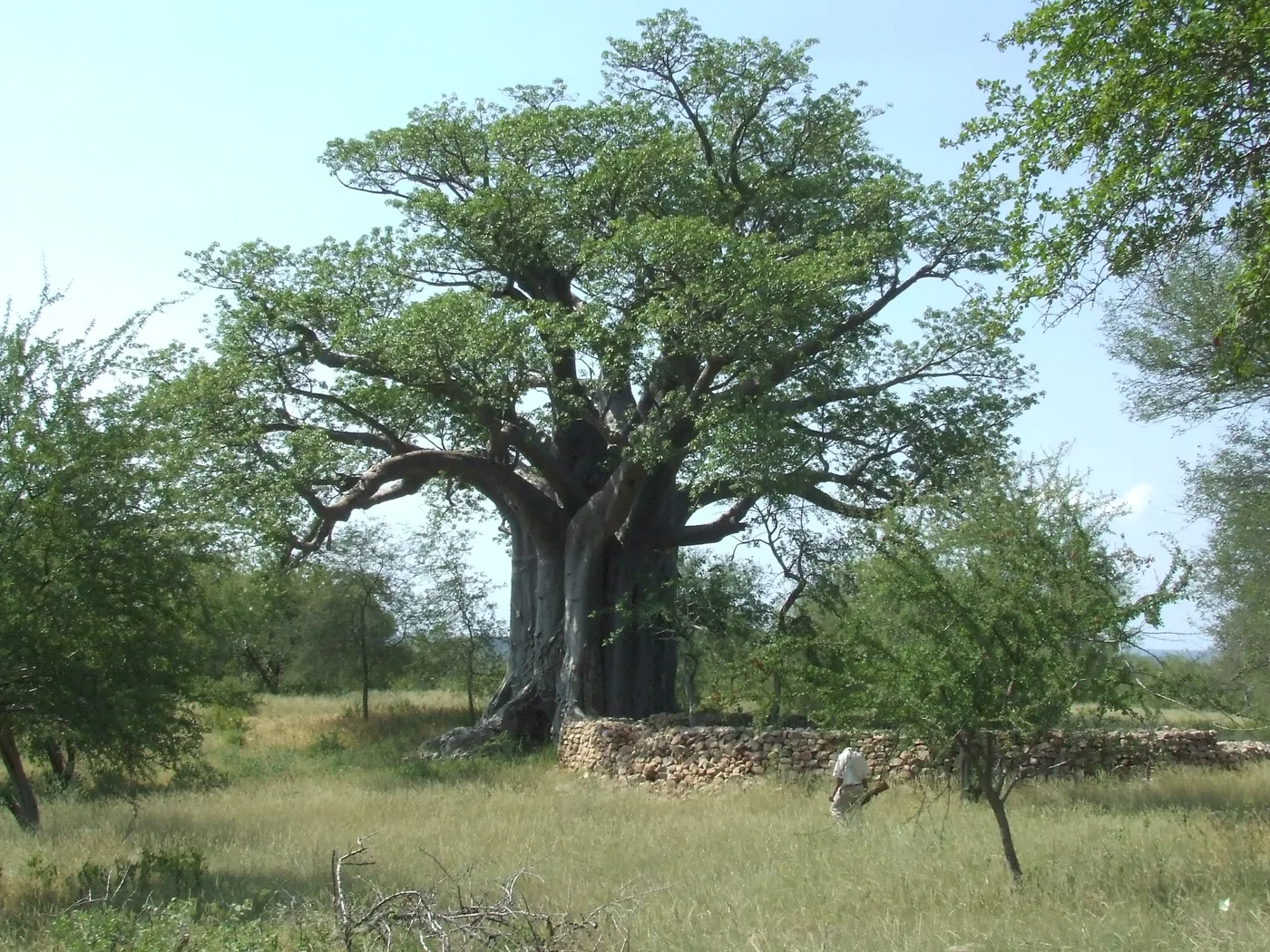 Thulamela