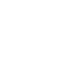 Dirt Devil Endura Reach