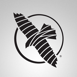 Hayabusa S4