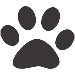 Bio-Groom Extra Body Shampoo