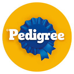 Pedigree Large Breed Puppy