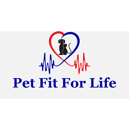 Pet Fit For Life Airline Approved Top Load Fashion Pet Carrier