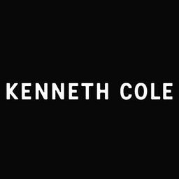 Kenneth Cole Reaction Chelsea Carry-On Spinner