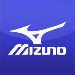Mizuno 2017 Wave Driver