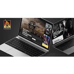 Divinity: Original Sin 2 - Definitive Edition