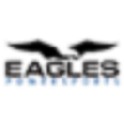 SSR Racing Raptor 300