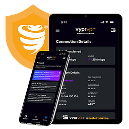 VyprVPN Business