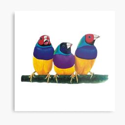 ViewSonic ViewTab V10 Kids Tablet