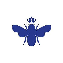 Bombas 6.0 Performance Ankle Socks