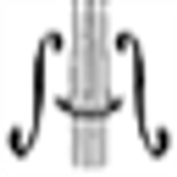 David Gage Maestro Cello Outfit