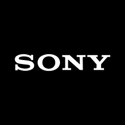 Sony FDRX3000V